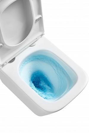 Подвесной унитаз безободковый Terminus Ватикан Monolit 490х340 белый Мурманск - фото 8