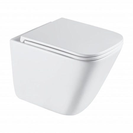 Подвесной унитаз безободковый Terminus Ватикан Monolit 490х340 белый Мурманск - фото 2