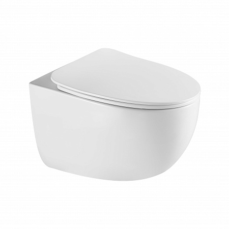 Подвесной унитаз безободковый Terminus Енисей Monolit 560х390 белый Мурманск - фото 2