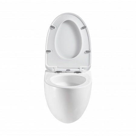 Подвесной унитаз безободковый Terminus Енисей Monolit 560х390 белый Мурманск - фото 5