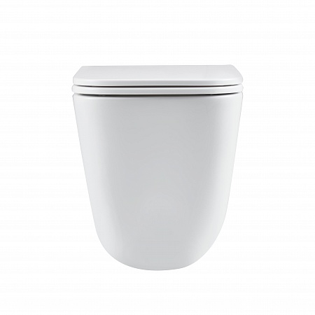 Подвесной унитаз безободковый Terminus Ватикан Monolit 490х340 белый Мурманск - фото 6