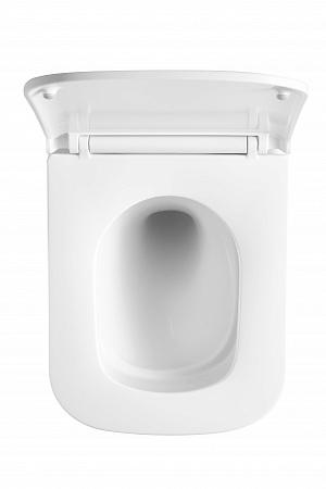 Подвесной унитаз безободковый Terminus Ватикан Monolit 490х340 белый Мурманск - фото 3